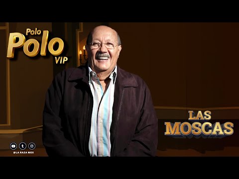 POLO POLO, las moscas