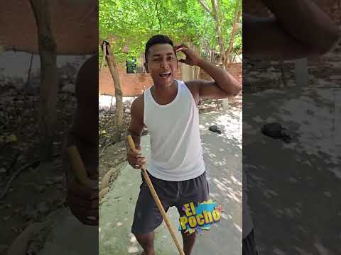 20 mil pesos por linpiar la picina de polo #video #humor #comedia