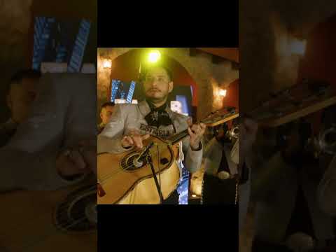 Pt.3 ME GUSTAS 🔊 José Luis Zagar Con Mariachi Estrella De Monterrey #shortvideo #shortsfeed #viral