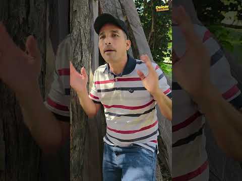 no encuentro el dinero  #comedia #humor #shortvideo