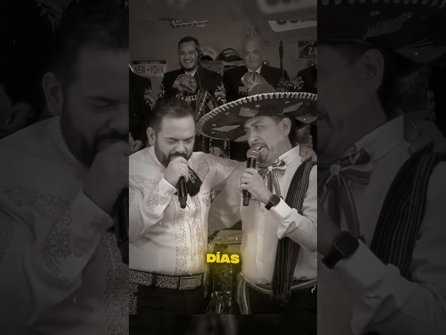 Secreto en la Montaña 🤣💦