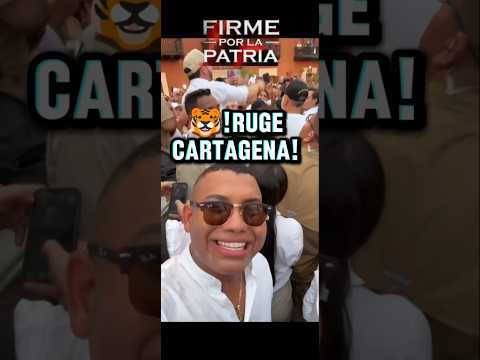 🚨!SIN TAMALES! El tigre Abelardo en Cartagena | Polo Polo