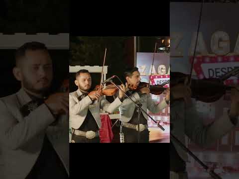 Pt.2 Me caí de la nube 🔊Leandro Rios, José Luís Zagar Con Mariachi Estrella De Monterrey #shortvideo