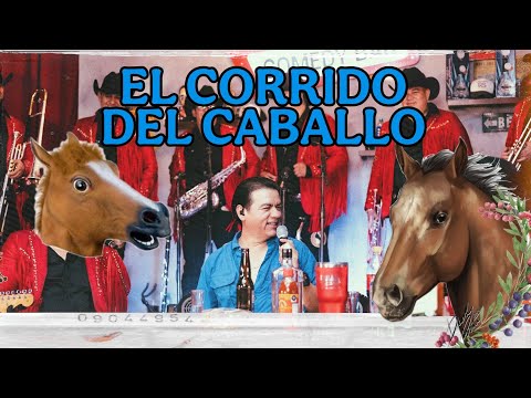 EL CORRIDO DEL CABALLO Y LA YEGUA