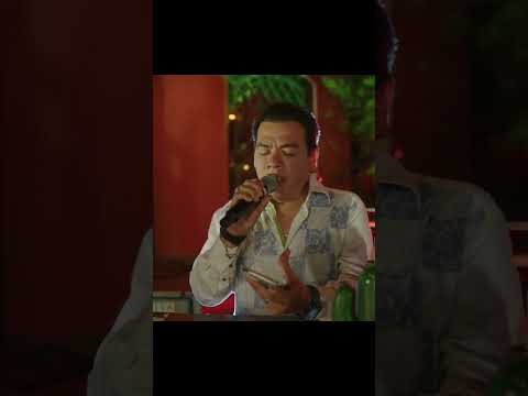 Pt.1 ME GUSTAS 🔊 José Luis Zagar Con Mariachi Estrella De Monterrey #shortvideo #shortsfeed #viral