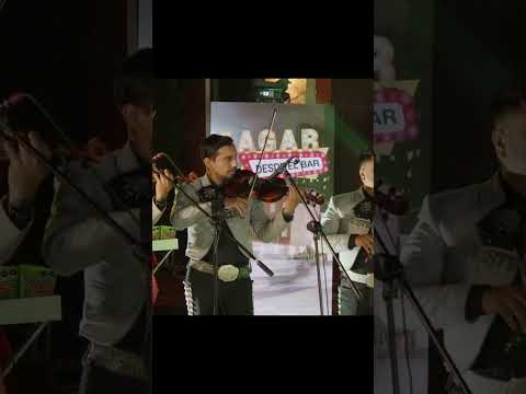 Pt.3 Costumbres 🔊 Leandro Rios, José Luis Zagar & MARIACHI ESTRELLA DE MONTERREY #shorts #viral
