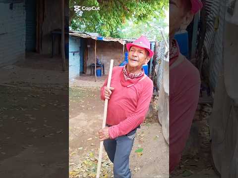 cuando te bendice el señor polo #humor #piadasrapidas #comedia #piadascurtas #comedy