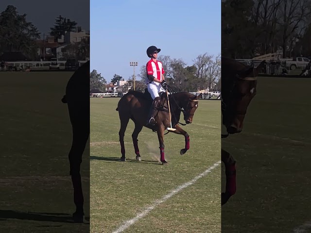 Abierto del Jockey Club 2026- La Irenita-Polo #polo #caballos #horse