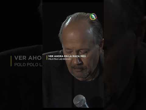 La creación de la humanidad 🌎✨ / Polo Polo – Las moscas 🪰😂 #shorts