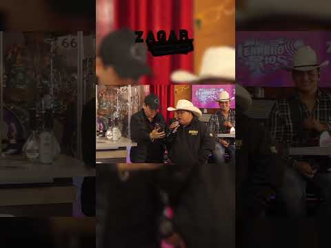 Panchito nos recupera el en vivo 🤣👌