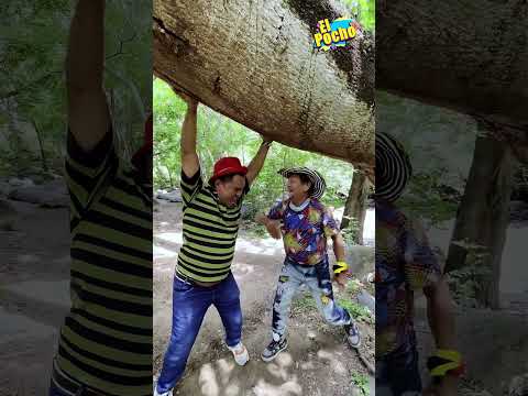 La estrategia de polo #video #humor #comedia