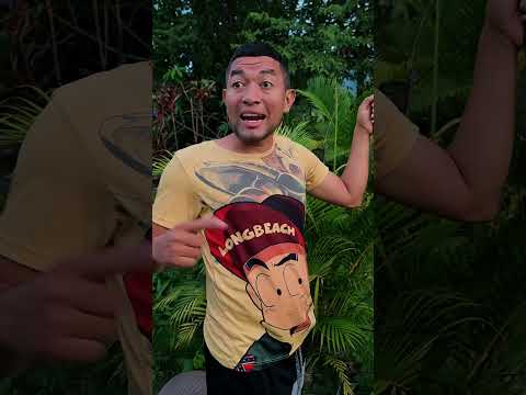 el negocio de la silla de polo 🤣 #humor #yosoydelos7mil #comedia