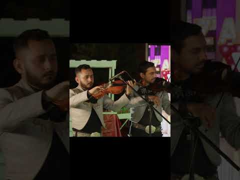 Pt.1 POR UNAS MONEDAS 🔊 José Luis Zagar, Leandro Ríos & Mariachi Estrella De Monterrey #shorts